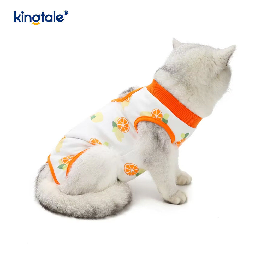 Köpek Kurtarma Giysileri