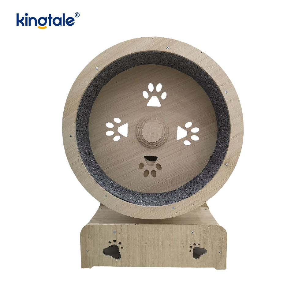 Pet Ahşap Koşu Bandı