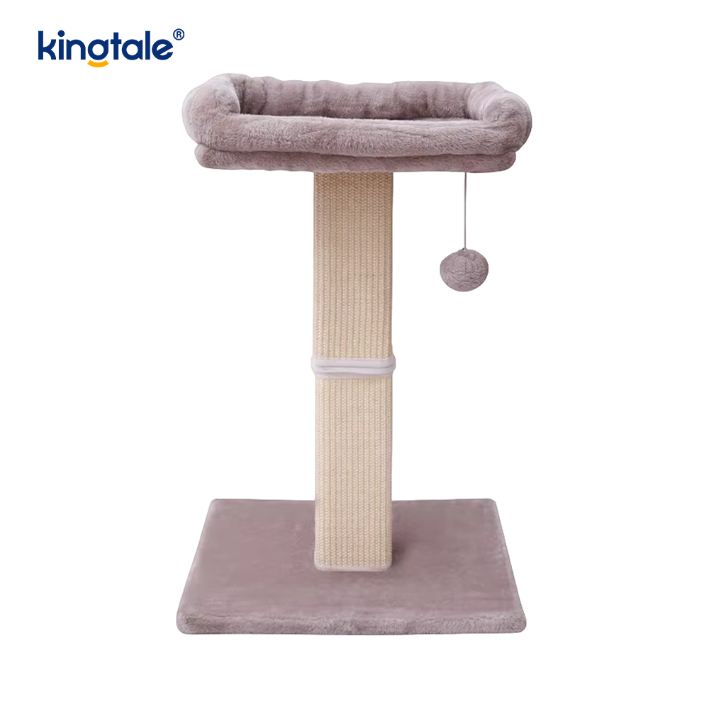 Temel Bilgiler Kedi Ağacı