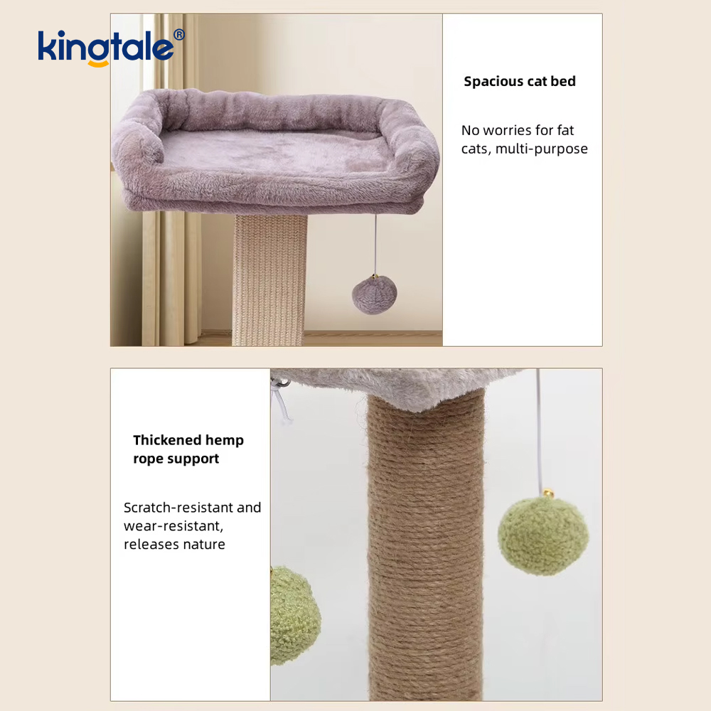Temel Bilgiler Kedi Ağacı