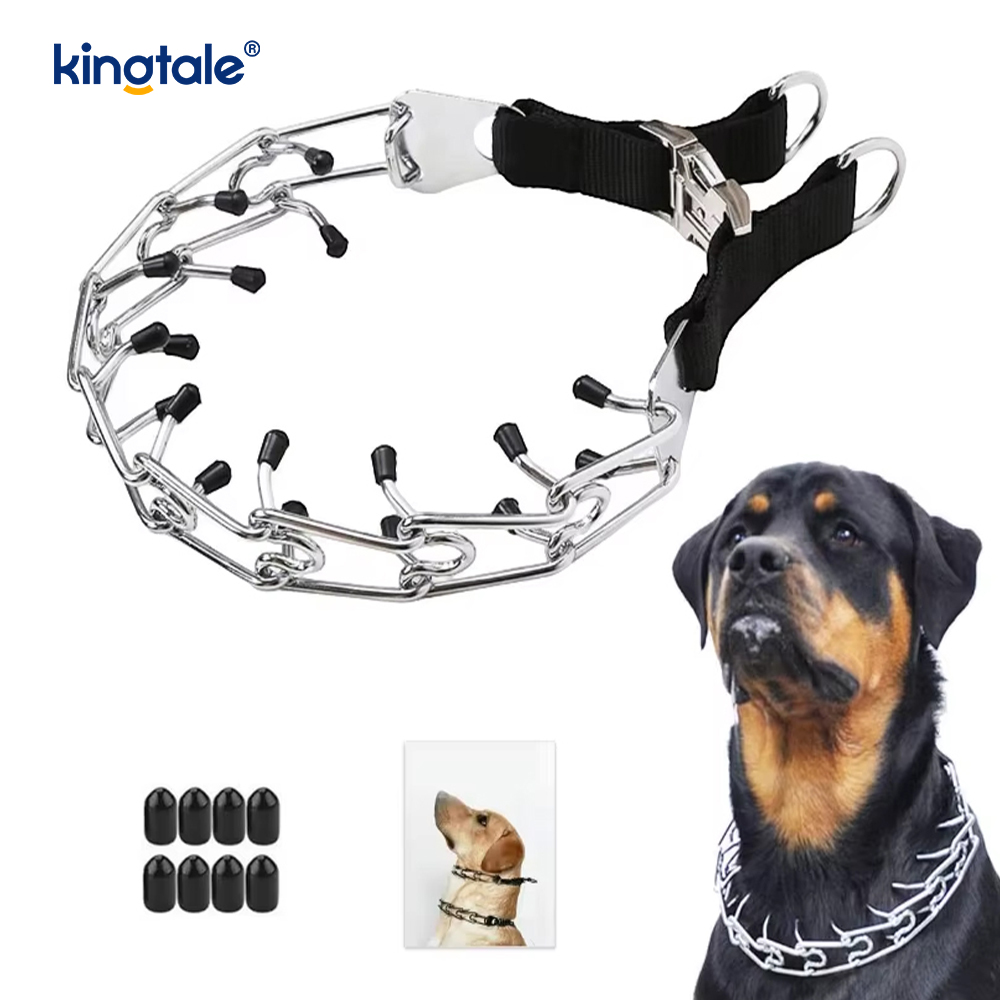 Metal Tokalı Köpek Prong Tasması