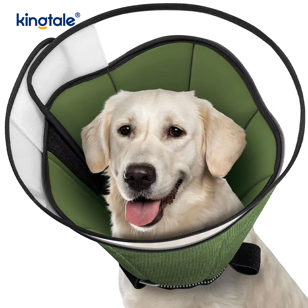Ameliyat Sonrası Köpekler için Yumuşak Köpek Konisi