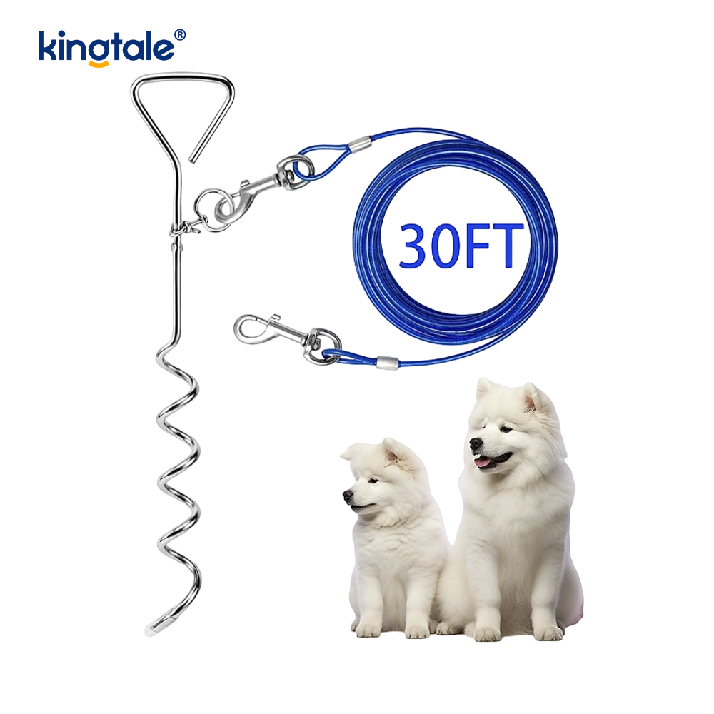 Köpek Kabloyu Bağlayın ve Tasma ve Zincirin Dışında 30 ft Kazık