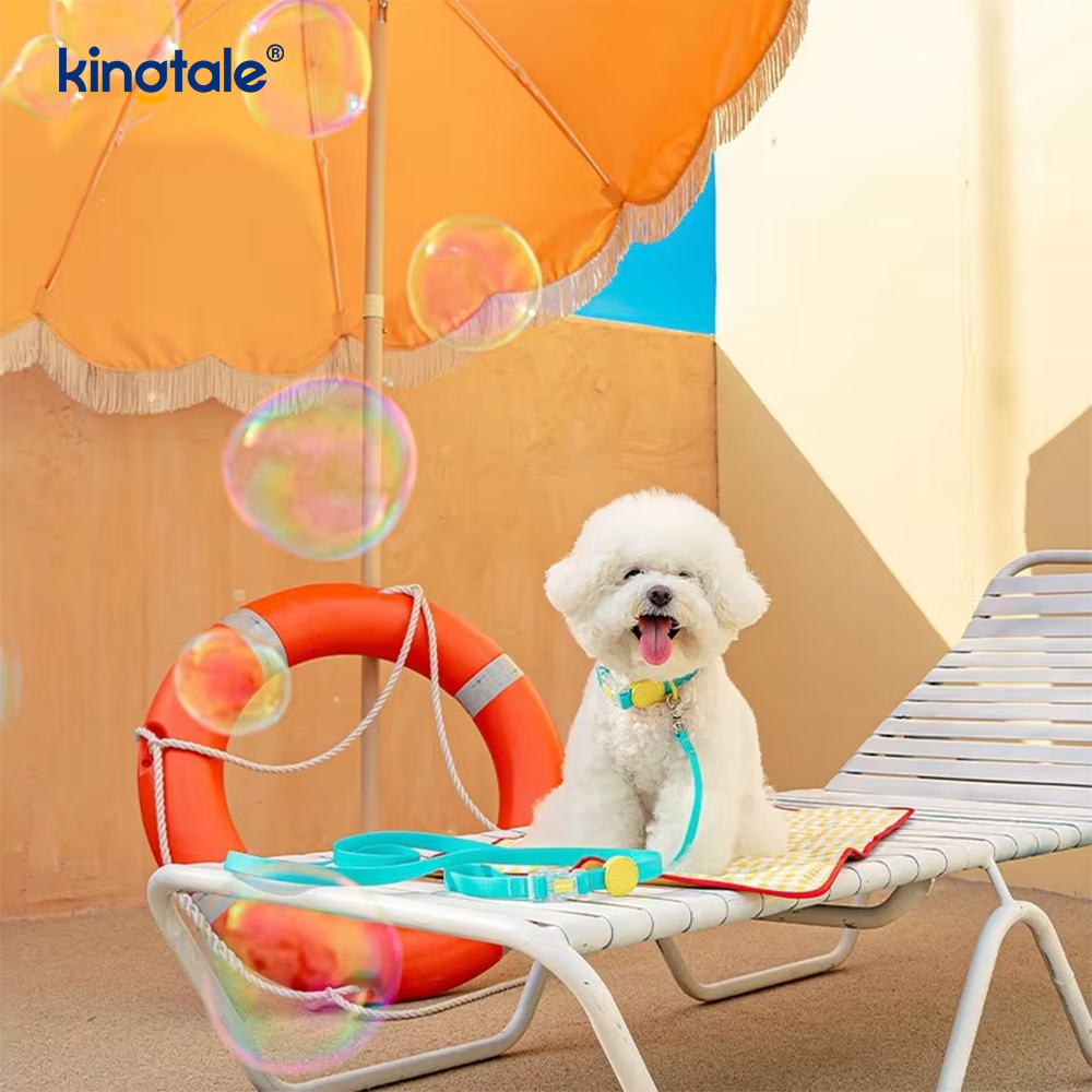 Makaron PVC Köpek Tasması