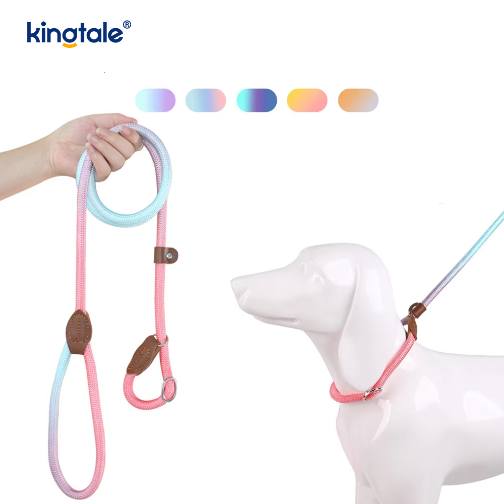 Makaron Kayma Köpek Tasması