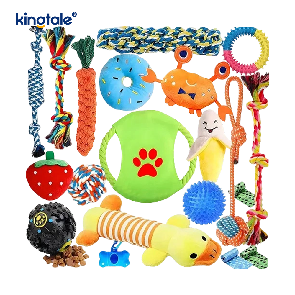 Diş Çıkarma ve Eğlence İç Mekan için 20PCS Pet Halat Oyuncak Seti