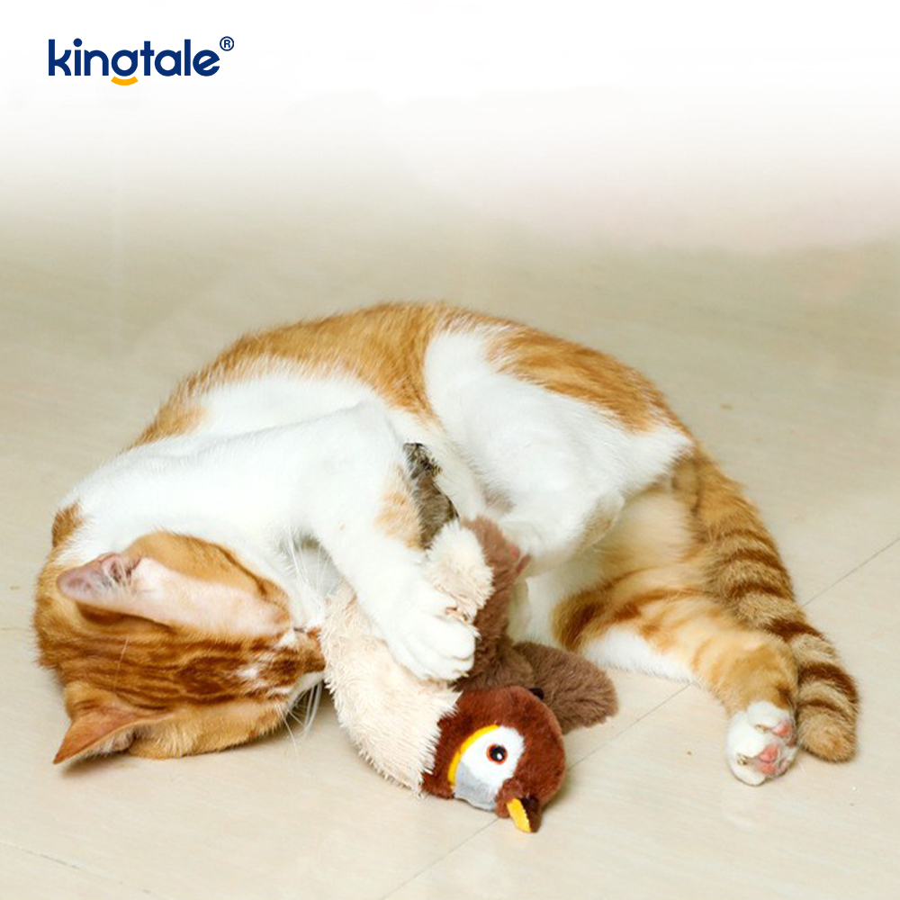 Tüm Irklar İçin Simüle Serçe Pet Peluş Oyuncak Kedi Kicker Kedi Nipleri Oyuncaklar Serçe