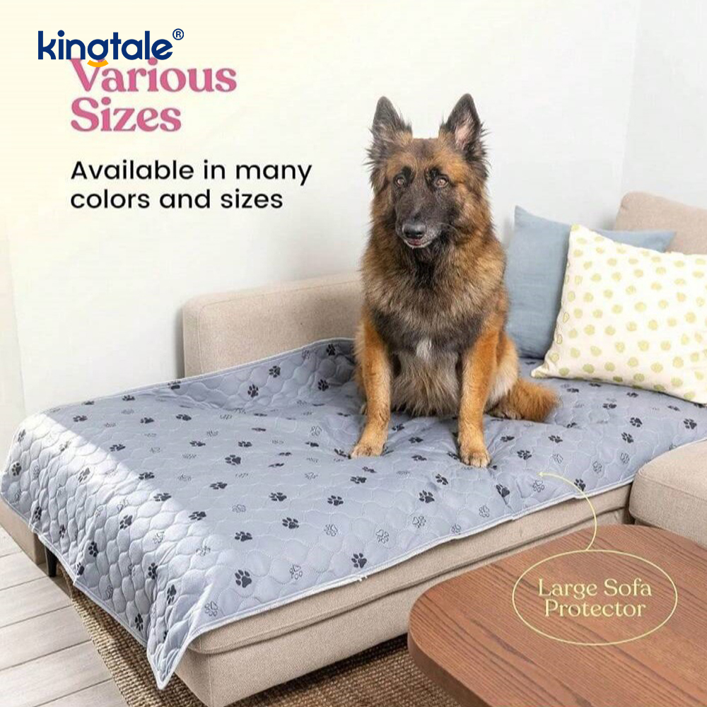 Pet Değiştirme Mat Yeniden Kullanılabilir Köpek Mat Zemin Kaymaz Yıkanabilir Çiş Pedleri Köpekler için
