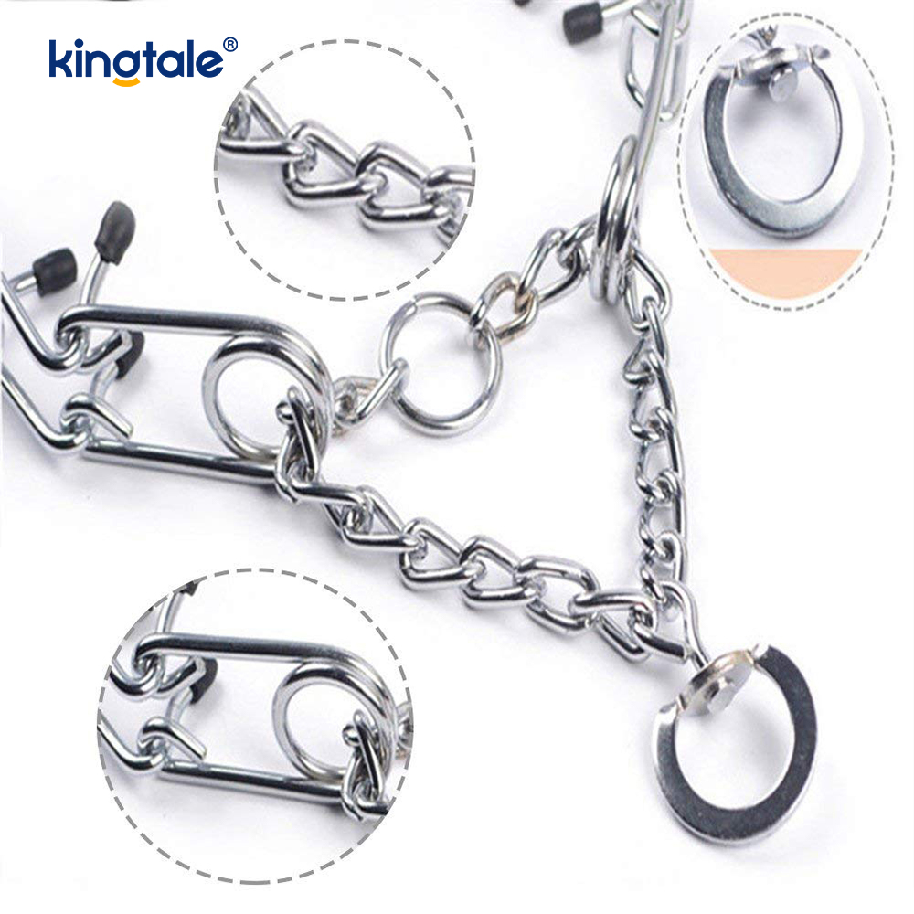 Pet Sıkıştırma Şok Tasmaları Karbon Çelik Metal Uçlu Köpek Eğitim Yaka