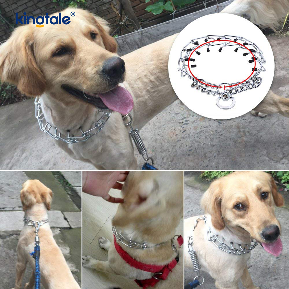 Pet Sıkıştırma Şok Tasmaları Karbon Çelik Metal Uçlu Köpek Eğitim Yaka