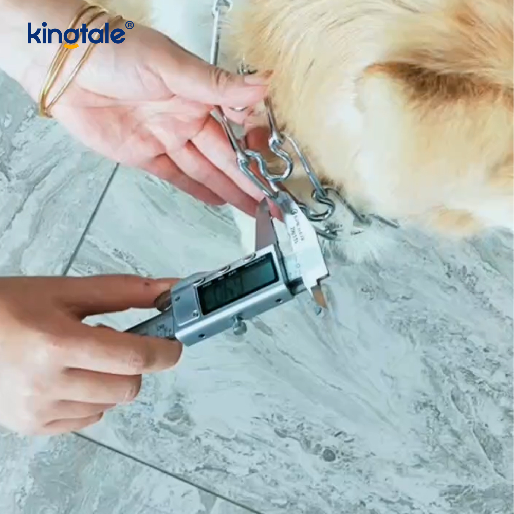 Pet Sıkıştırma Şok Tasmaları Karbon Çelik Metal Uçlu Köpek Eğitim Yaka