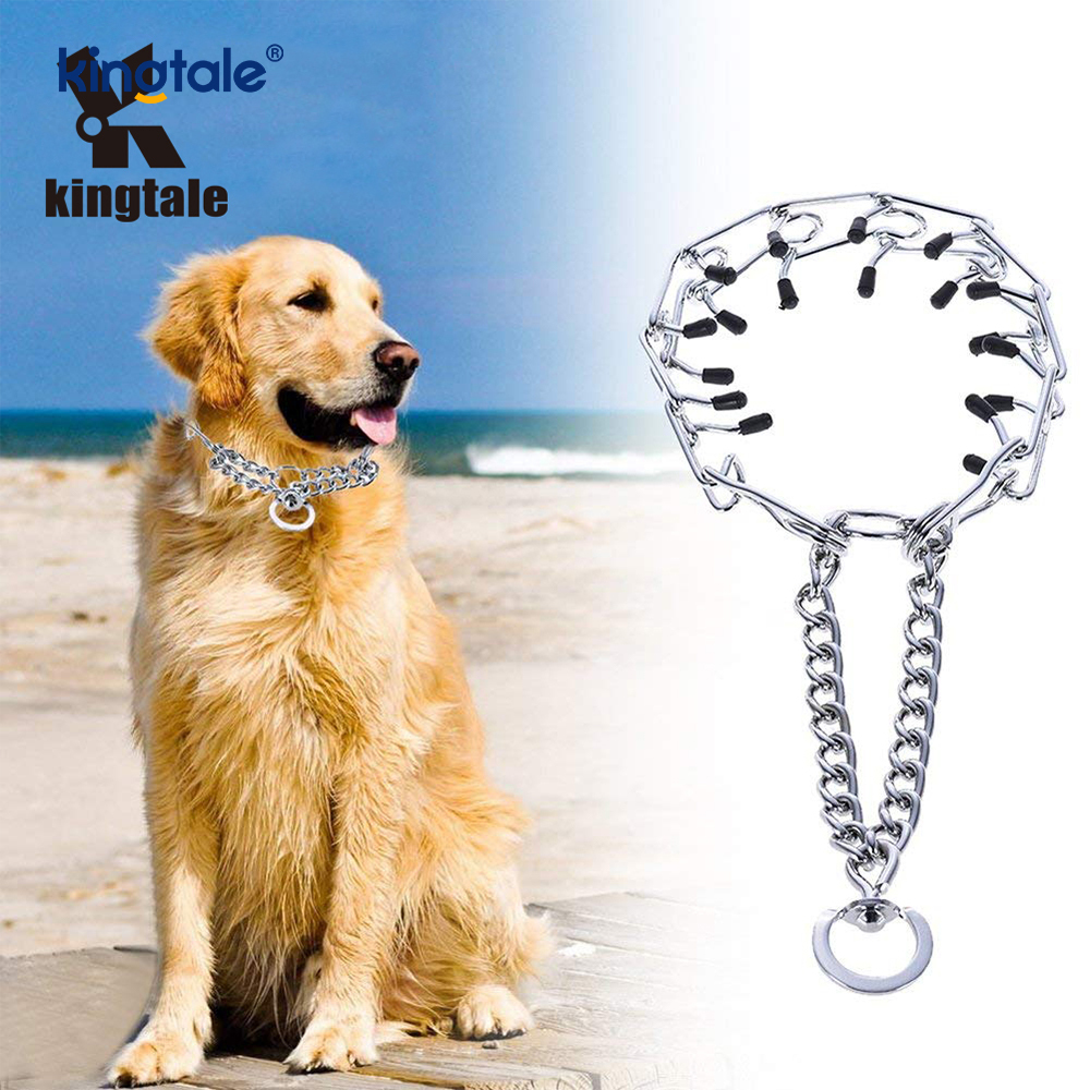 Pet Sıkıştırma Şok Tasmaları Karbon Çelik Metal Uçlu Köpek Eğitim Yaka
