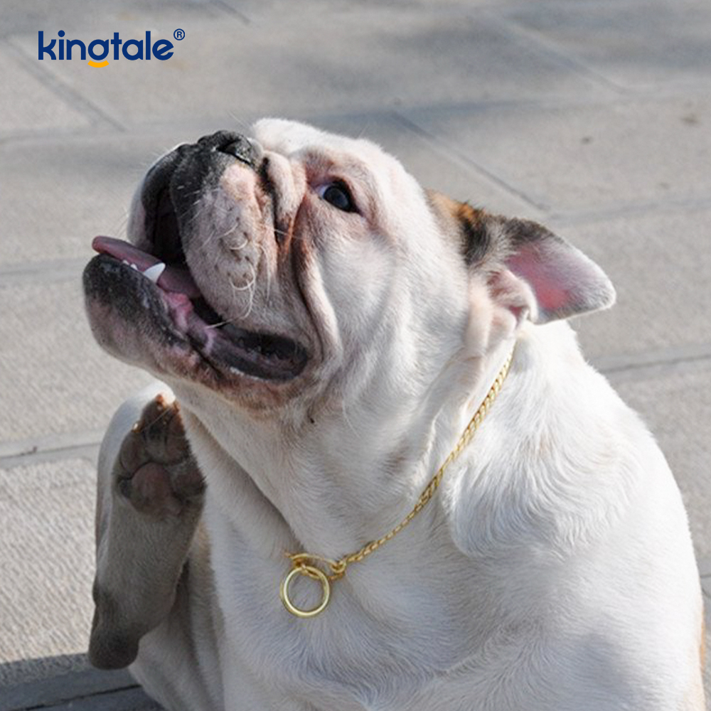 Küçük ve Orta Boy Köpekler İçin Saf Bakır Metal Yılan Köpek Zinciri Tasması