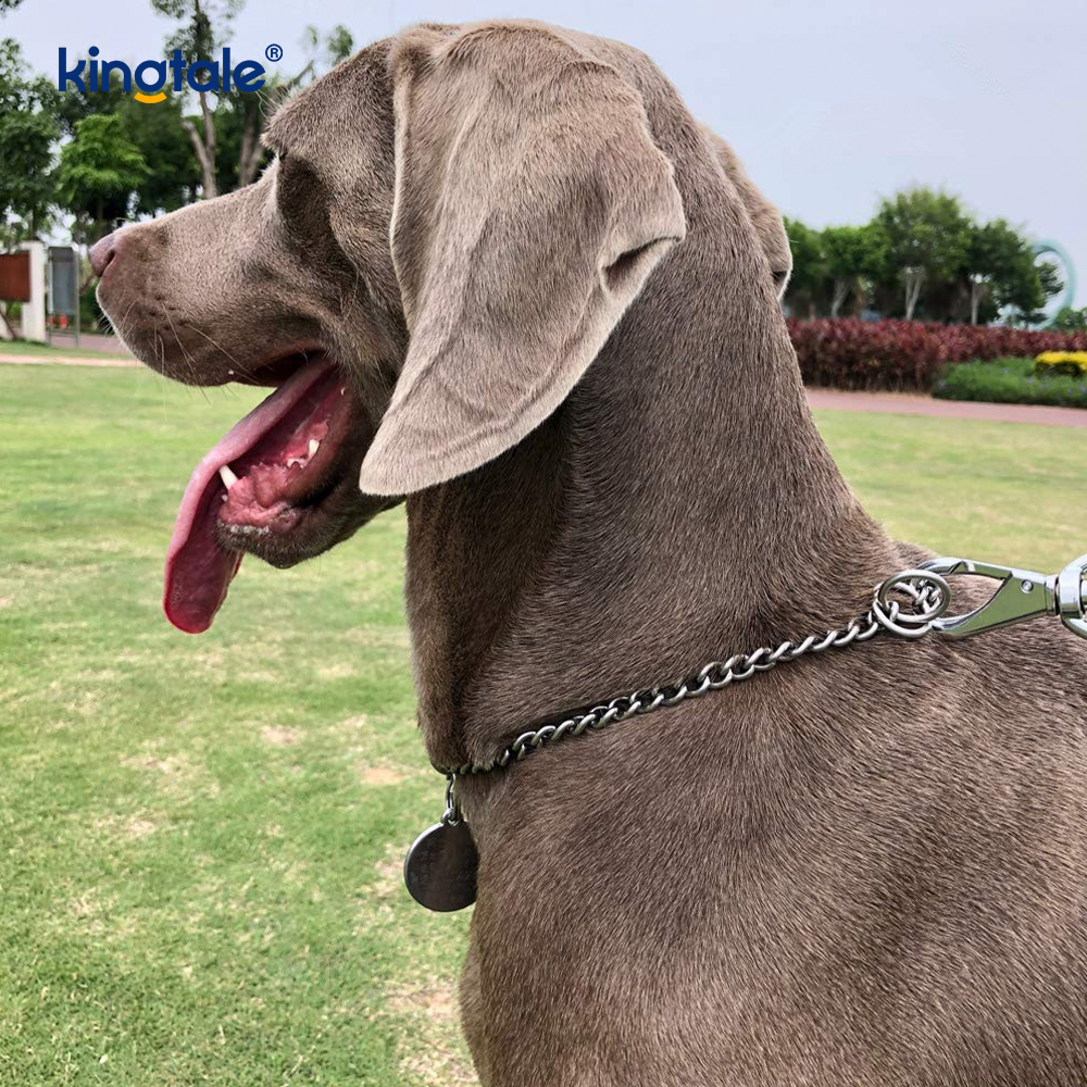 Köpekler için Metal Eğitim Köpek Şok Yaka Kayma P Zinciri Ağır Zincir