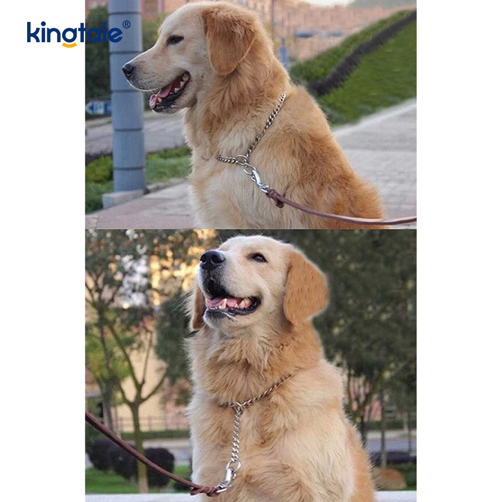 Köpekler için Metal Eğitim Köpek Şok Yaka Kayma P Zinciri Ağır Zincir