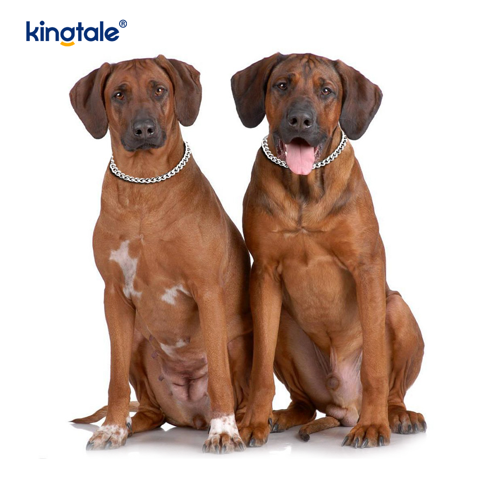 Köpekler için Metal Eğitim Köpek Şok Yaka Kayma P Zinciri Ağır Zincir