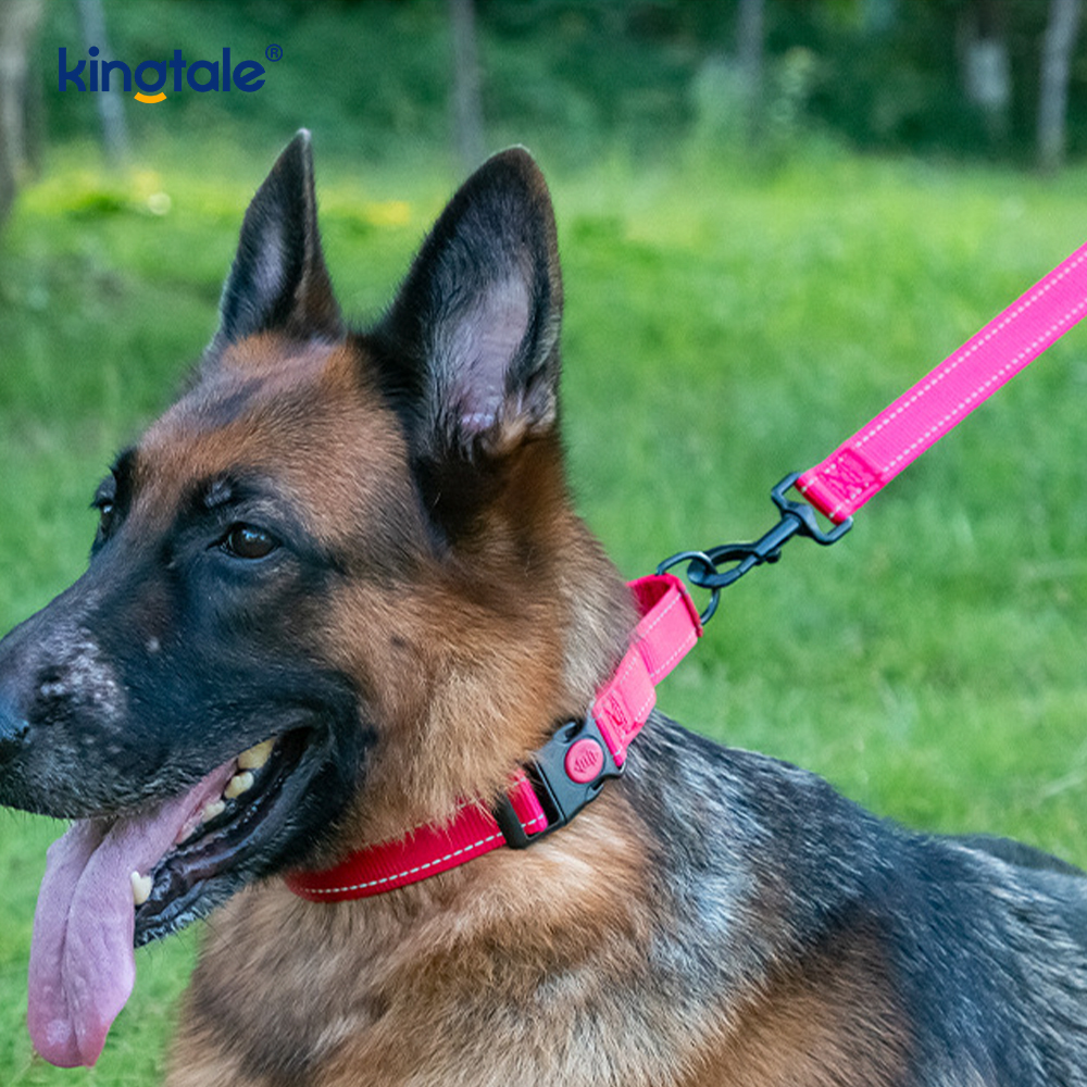 S M A L L Köpekler İçin Çekme Yok Yansıtıcı Ayarlanabilir Naylon Martingale Köpek Tasması