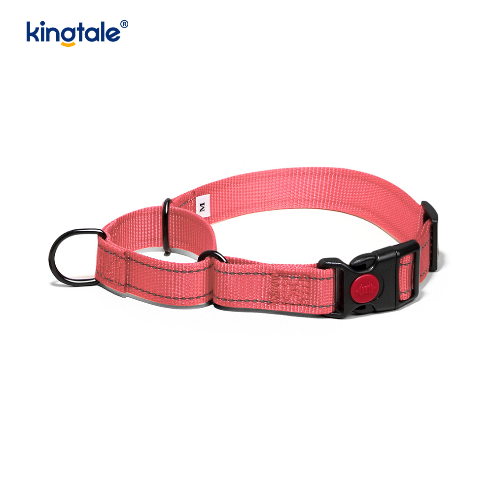 S M A L L Köpekler İçin Çekme Yok Yansıtıcı Ayarlanabilir Naylon Martingale Köpek Tasması