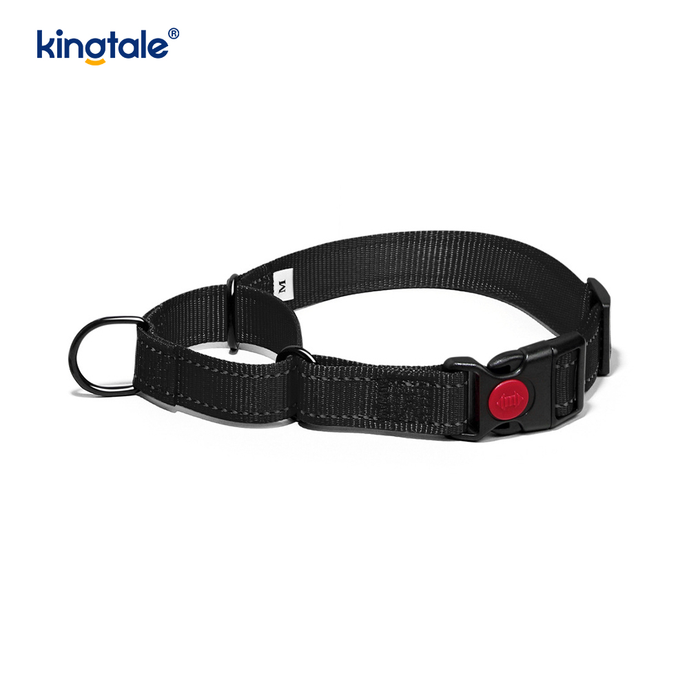 S M A L L Köpekler İçin Çekme Yok Yansıtıcı Ayarlanabilir Naylon Martingale Köpek Tasması