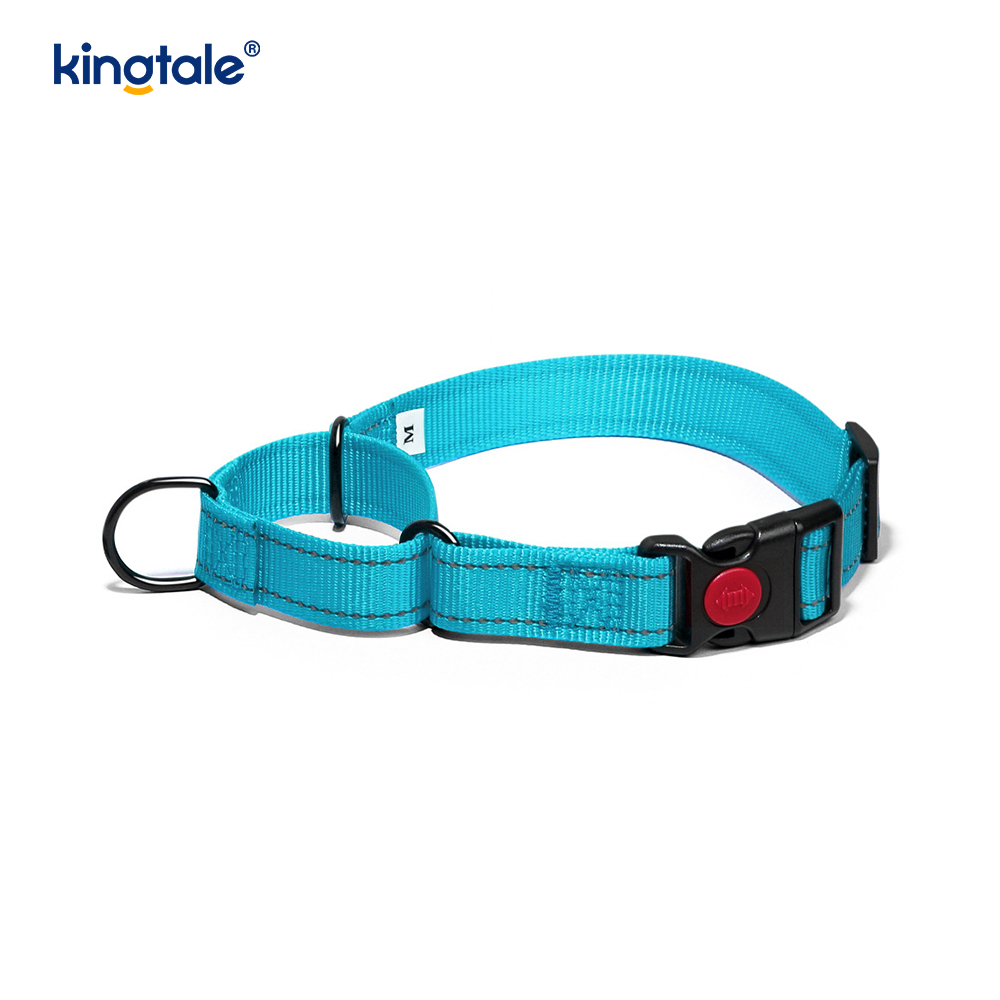 S M A L L Köpekler İçin Çekme Yok Yansıtıcı Ayarlanabilir Naylon Martingale Köpek Tasması