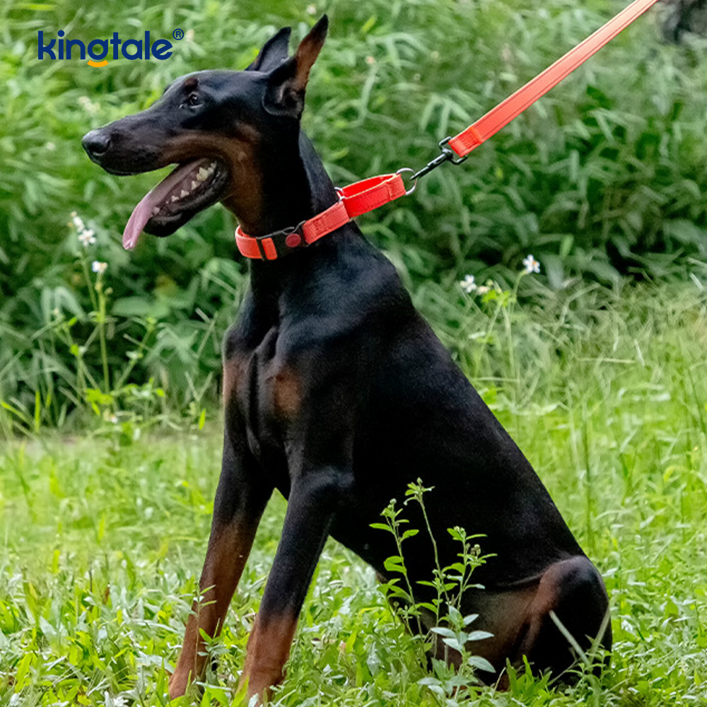 S M A L L Köpekler İçin Çekme Yok Yansıtıcı Ayarlanabilir Naylon Martingale Köpek Tasması