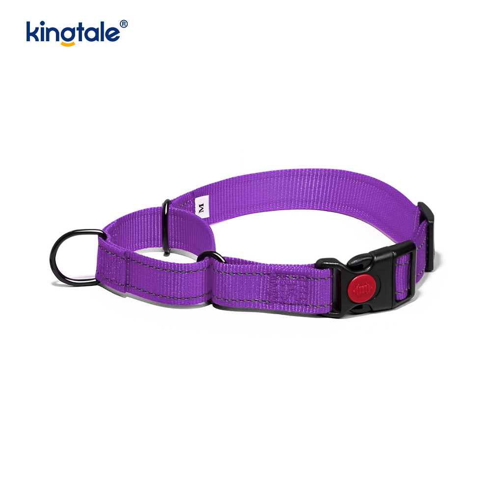 S M A L L Köpekler İçin Çekme Yok Yansıtıcı Ayarlanabilir Naylon Martingale Köpek Tasması