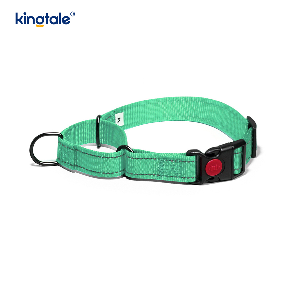 S M A L L Köpekler İçin Çekme Yok Yansıtıcı Ayarlanabilir Naylon Martingale Köpek Tasması