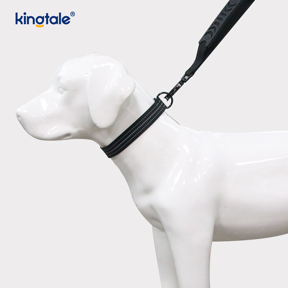 Yansıtıcı Çekme Yok Ağır Hizmet Taktik Köpek Yaka Tasma Bungee Kurşun