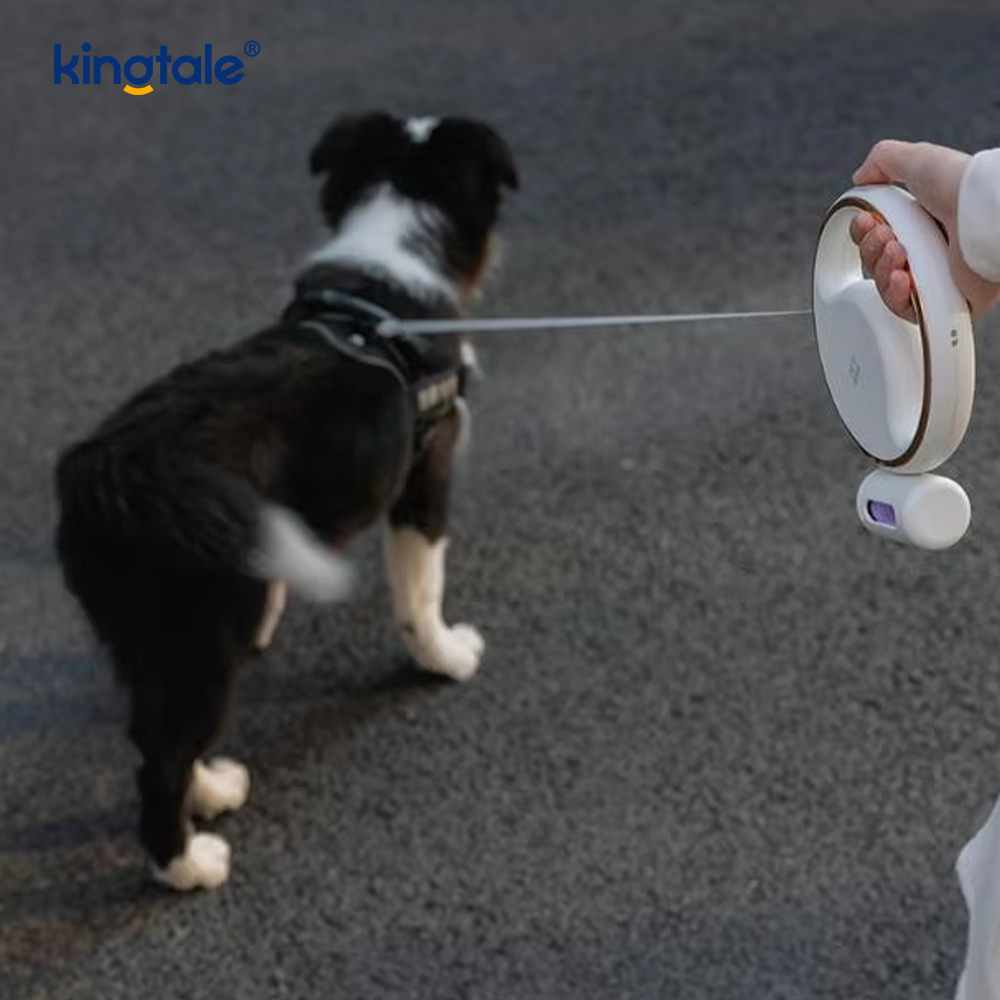 Basit Modern Led Aydınlatma Otomatik Geri Çekilebilir Naylon Köpek Yaka Tasma