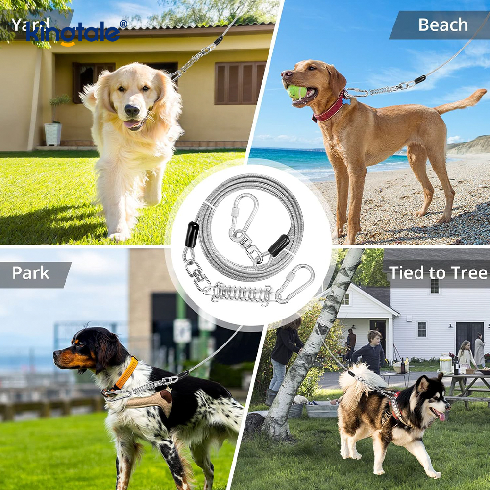 Yansıtıcı Yaylı Plastik Kaplı Köpek Eğitim Tasması Köpek Bağlama Kablosu
