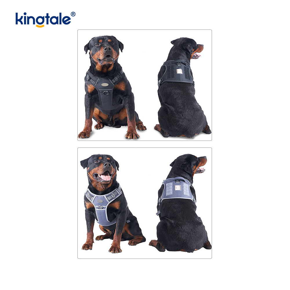 Katı Çekmesiz Naylon Ağır Hizmet Köpek Kemeri Yelek Eğitim Tasması Göğüs