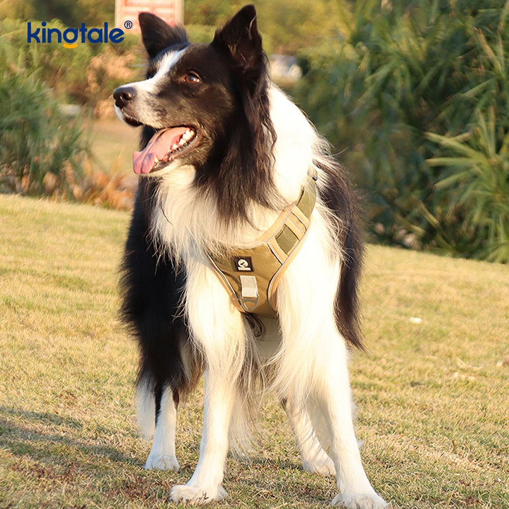 Naylon Perçin Yansıtıcı Ayarlanabilir Nefes Alabilir Spor Köpek Evcil Hayvan Koşum Takımı