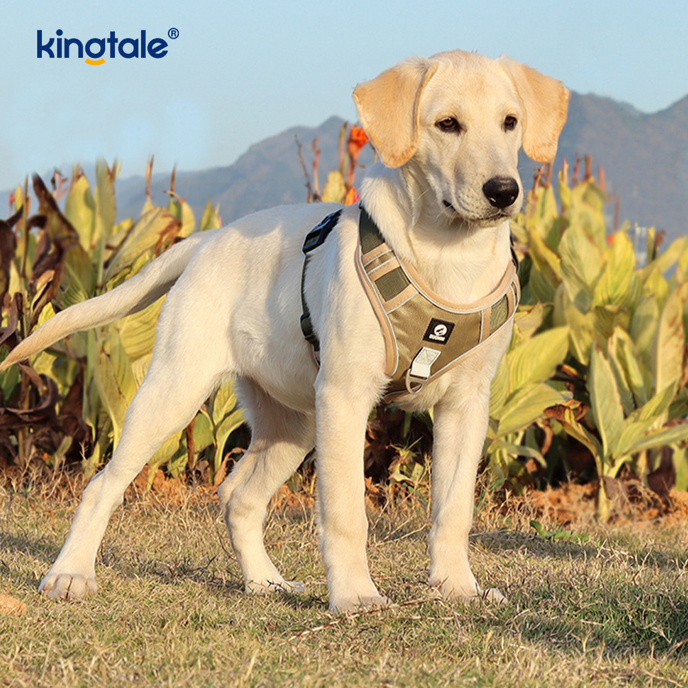 Naylon Perçin Yansıtıcı Ayarlanabilir Nefes Alabilir Spor Köpek Evcil Hayvan Koşum Takımı