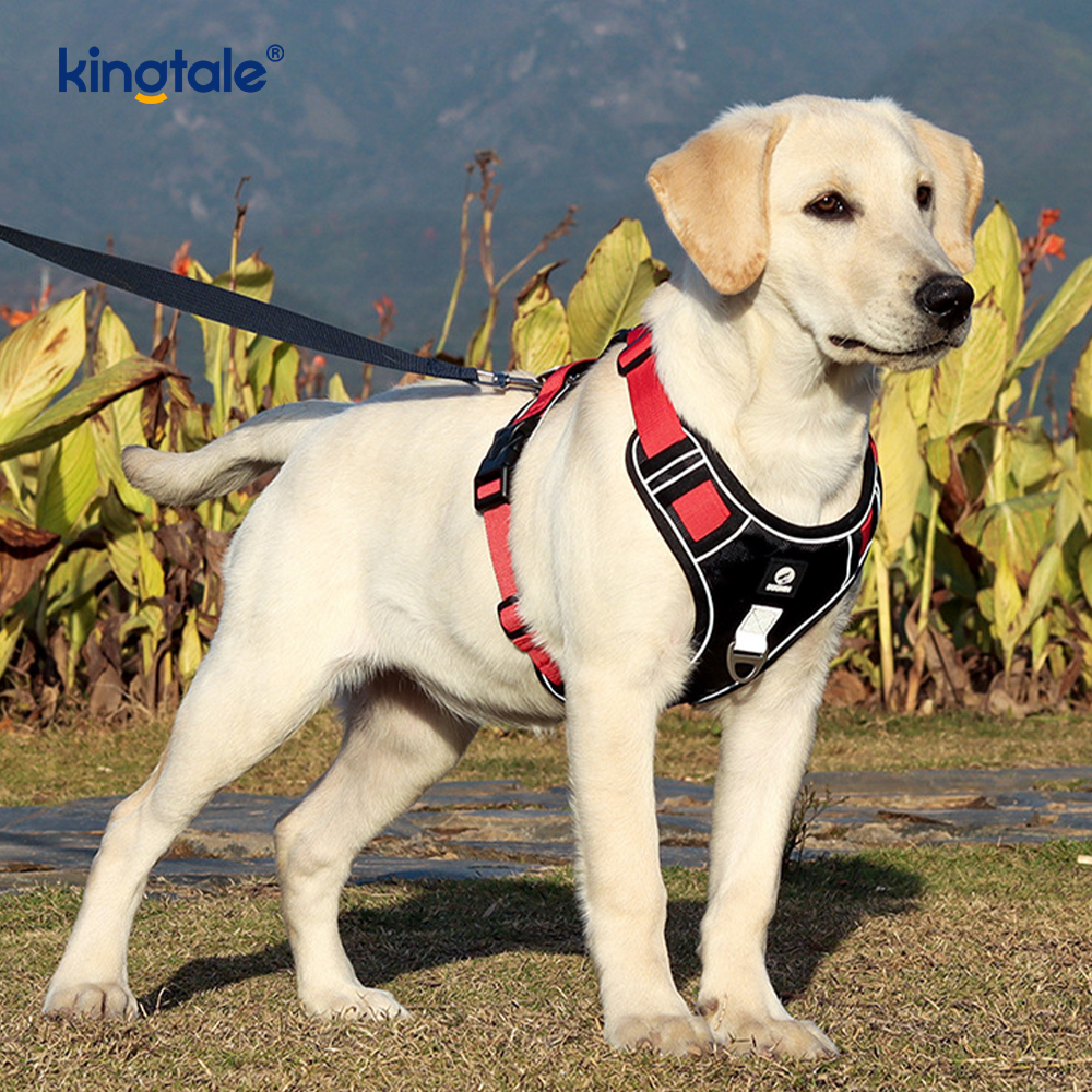 Naylon Perçin Yansıtıcı Ayarlanabilir Nefes Alabilir Spor Köpek Evcil Hayvan Koşum Takımı