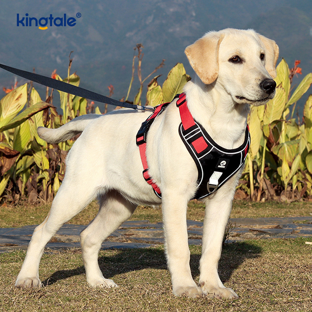 Naylon Perçin Yansıtıcı Ayarlanabilir Nefes Alabilir Spor Köpek Evcil Hayvan Koşum Takımı