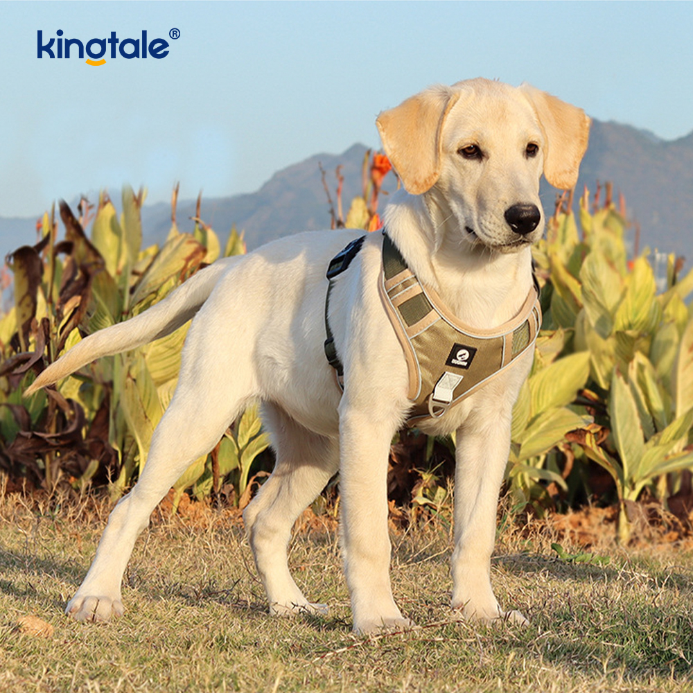 Naylon Perçin Yansıtıcı Ayarlanabilir Nefes Alabilir Spor Köpek Evcil Hayvan Koşum Takımı