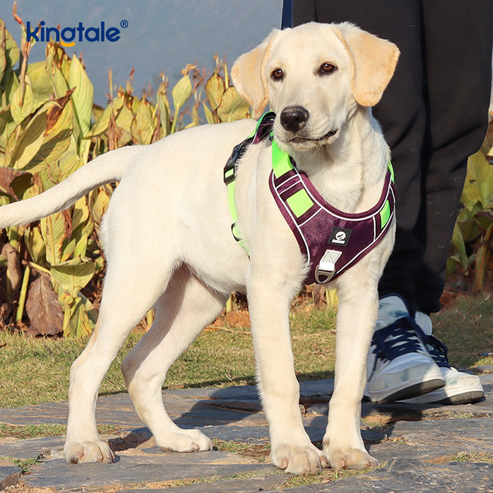 Naylon Perçin Yansıtıcı Ayarlanabilir Nefes Alabilir Spor Köpek Evcil Hayvan Koşum Takımı