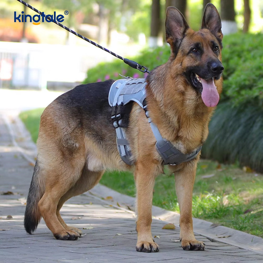 Özelleştirilmiş Ağır Hizmet Büyük Yelek Örgü Nefes Alabilir Ayarlanabilir Köpek Koşum Takımı