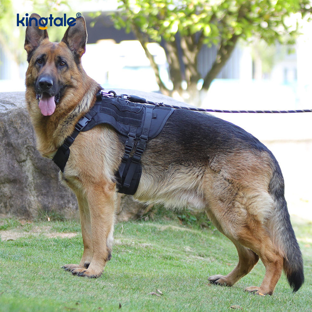 Özelleştirilmiş Ağır Hizmet Büyük Yelek Örgü Nefes Alabilir Ayarlanabilir Köpek Koşum Takımı