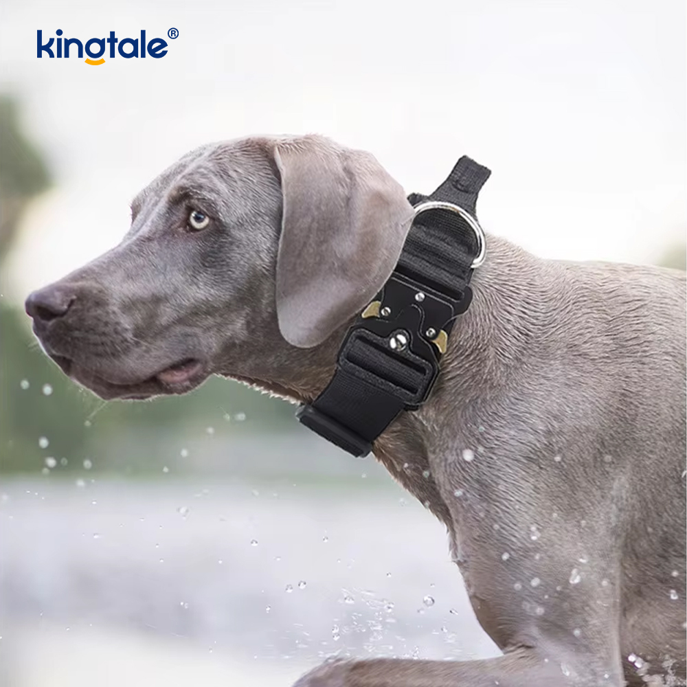 Büyük Köpekler İçin Ağır Hizmet Taktik Köpek Yaka Tasma Harness Seti