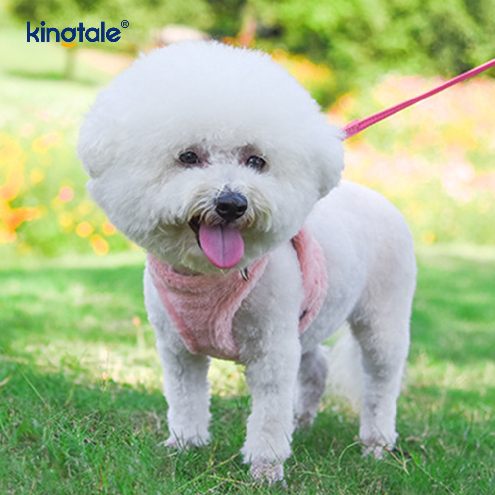 Peluş Pet Köpek Koşum Tasma Seti Sonbahar Yürüyüş Köpekleri Koşum Yelek