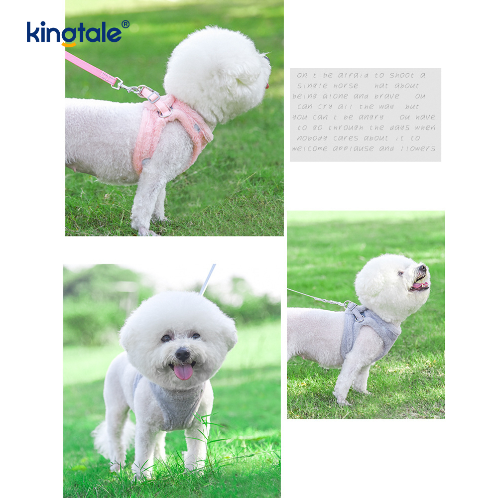Peluş Pet Köpek Koşum Tasma Seti Sonbahar Yürüyüş Köpekleri Koşum Yelek