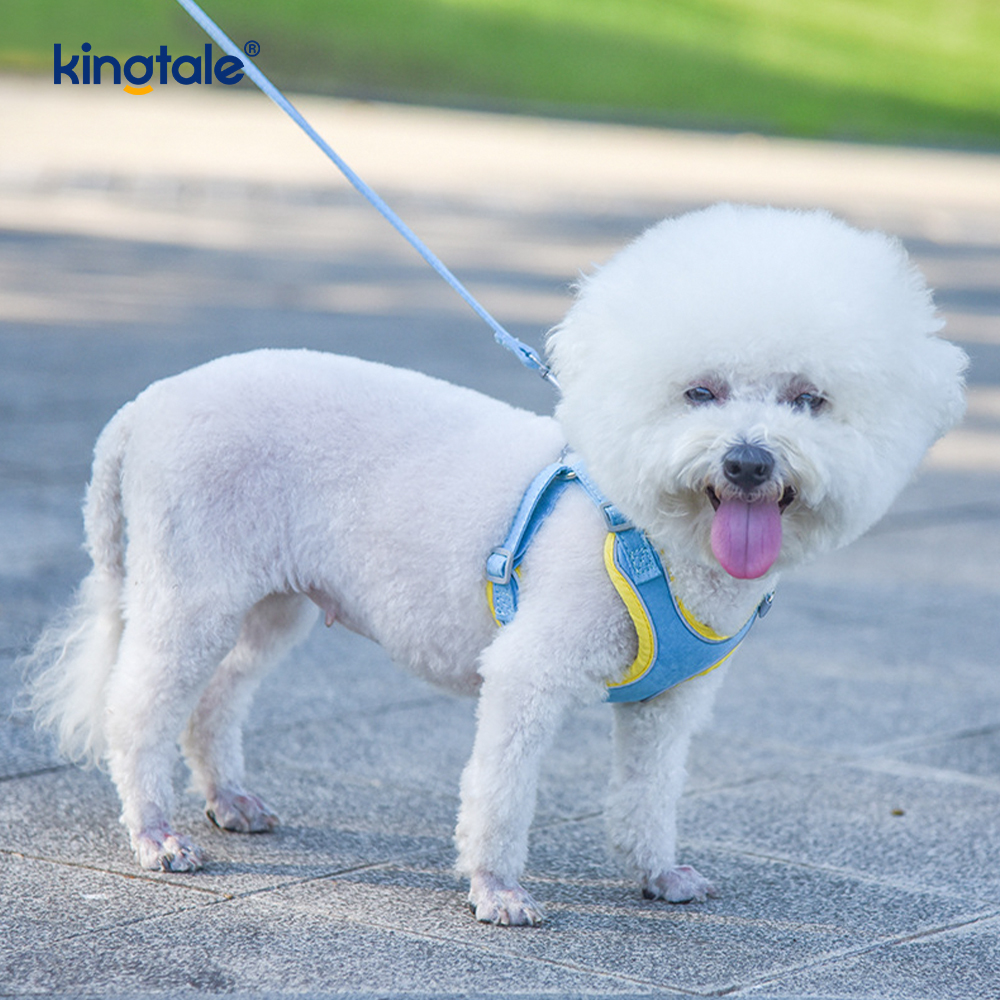 Deri Ayarlanabilir Küçük Pet Köpek Kedi Bling Rhinestone Koşum ve Tasma Seti