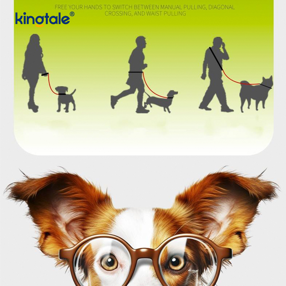 Çekme Yok Dayanıklı Ayarlanabilir Naylon Çift Saplı Renkli Köpek Kayma Tasması