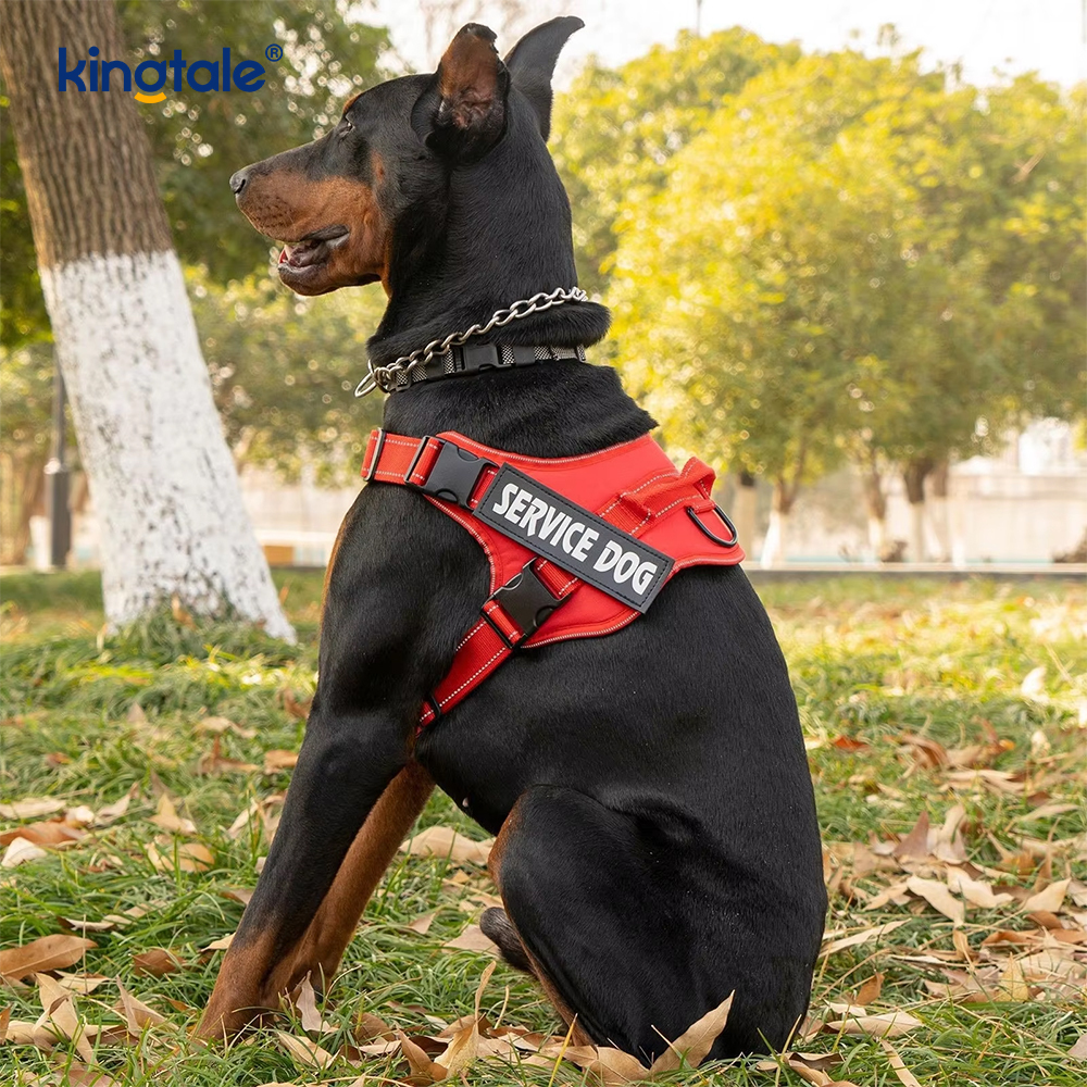 Büyük Köpekler İçin Çekmesiz Yansıtıcı Taktik Ağır Hizmet Taktik Köpek Koşum Takımı