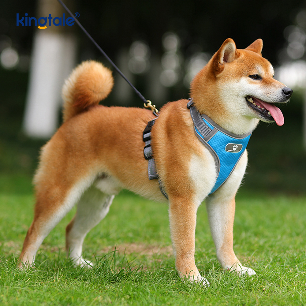 Ayarlanabilir Yumuşak Yastıklı Çekmesiz Evcil Hayvan Koşum Yansıtıcı Köpek Oxford Yelek
