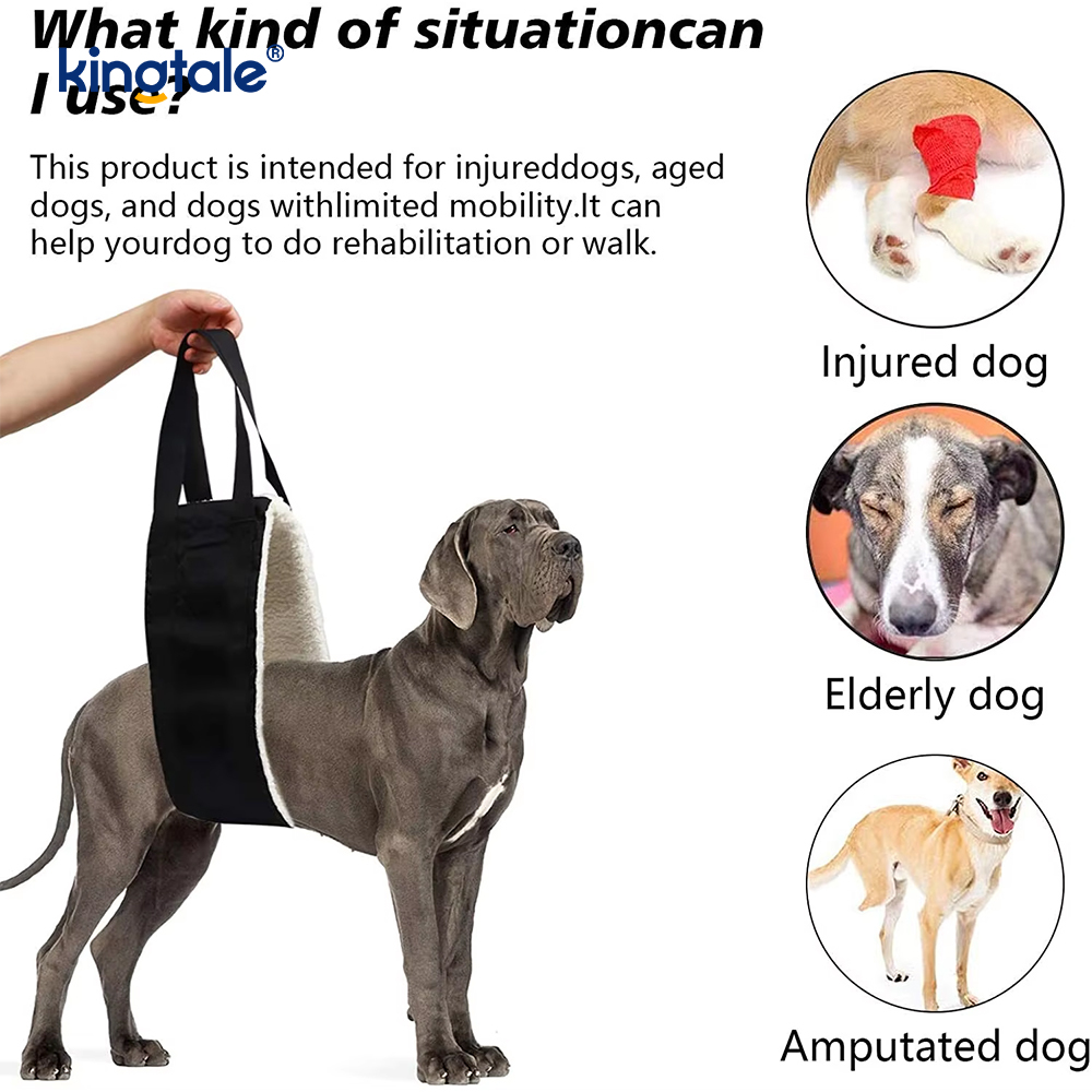 Evcil Hayvanlar İçin Özelleştirilmiş Taşınabilir Köpek Sling Katı Sürdürülebilir Köpek Kaldırma Koşum Takımı