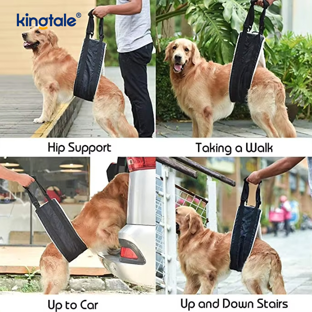 Evcil Hayvanlar İçin Özelleştirilmiş Taşınabilir Köpek Sling Katı Sürdürülebilir Köpek Kaldırma Koşum Takımı