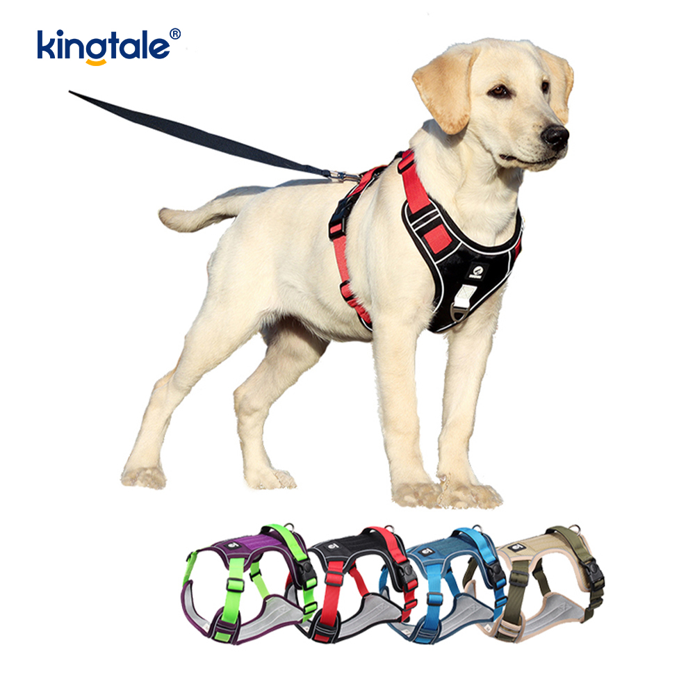 Köpek Tasmalı Naylon Perçin Yansıtıcı Ayarlanabilir Nefes Alabilir Spor Koşum Takımı