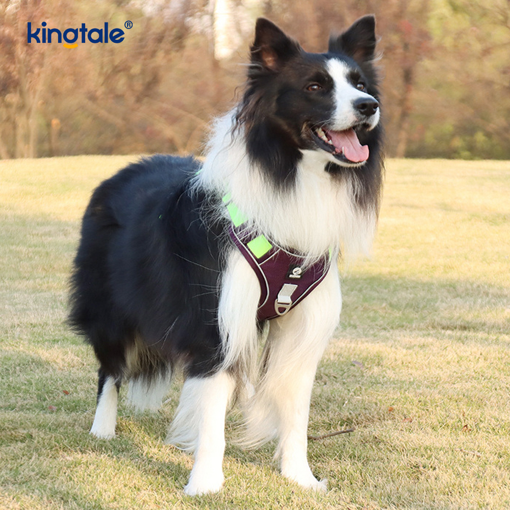 Köpek Tasmalı Naylon Perçin Yansıtıcı Ayarlanabilir Nefes Alabilir Spor Koşum Takımı